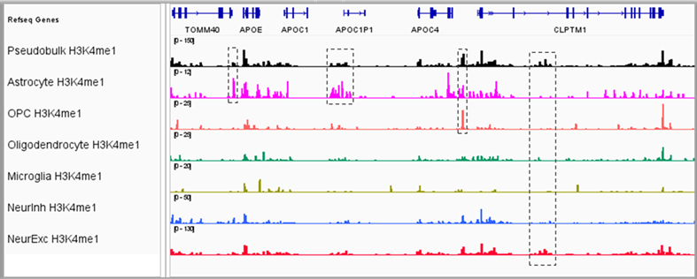 Graphic representing Single-Cell CUT&Tag technology