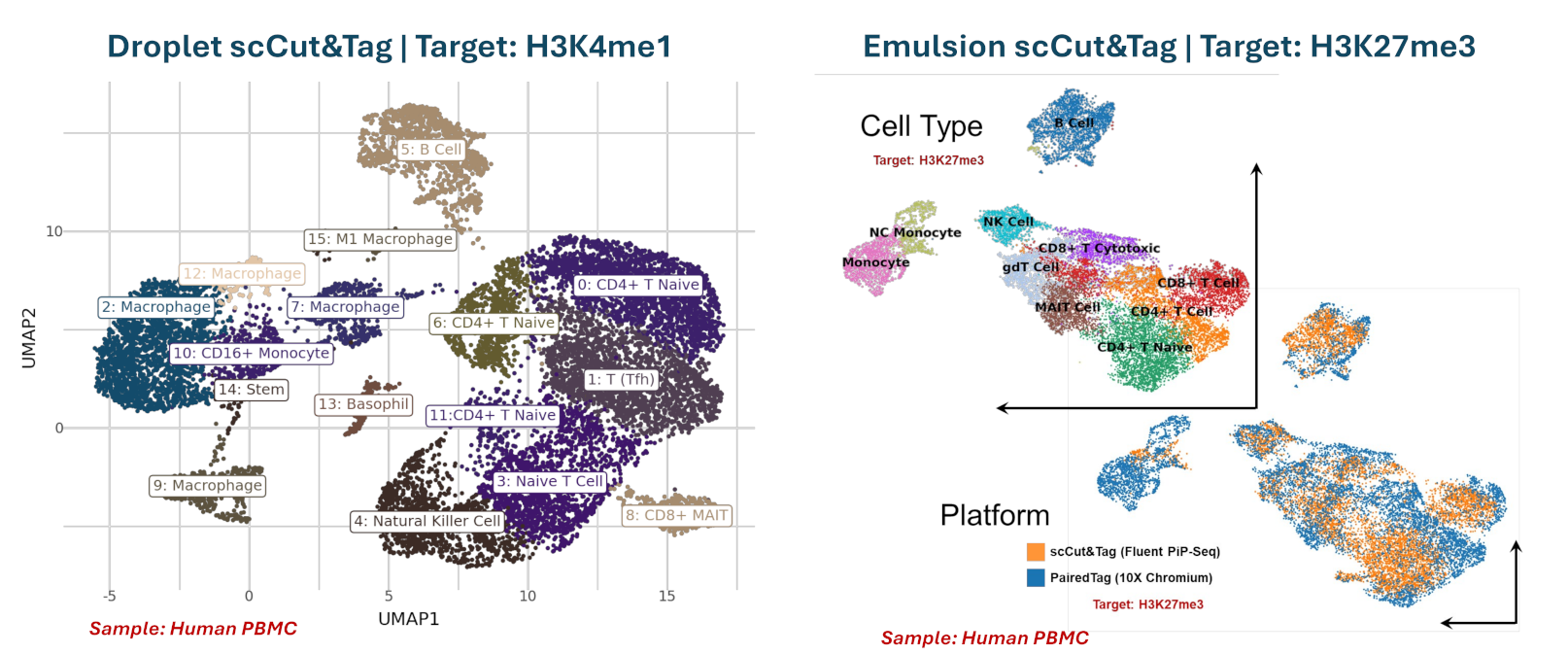 IGV track of in-silico sorted cell types from PairedTag for H3K27ac and H3K27me3