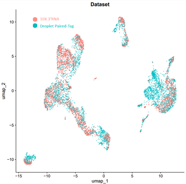 Paired-Tag and 10X Multiome Data